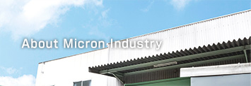 About Micron Industry
